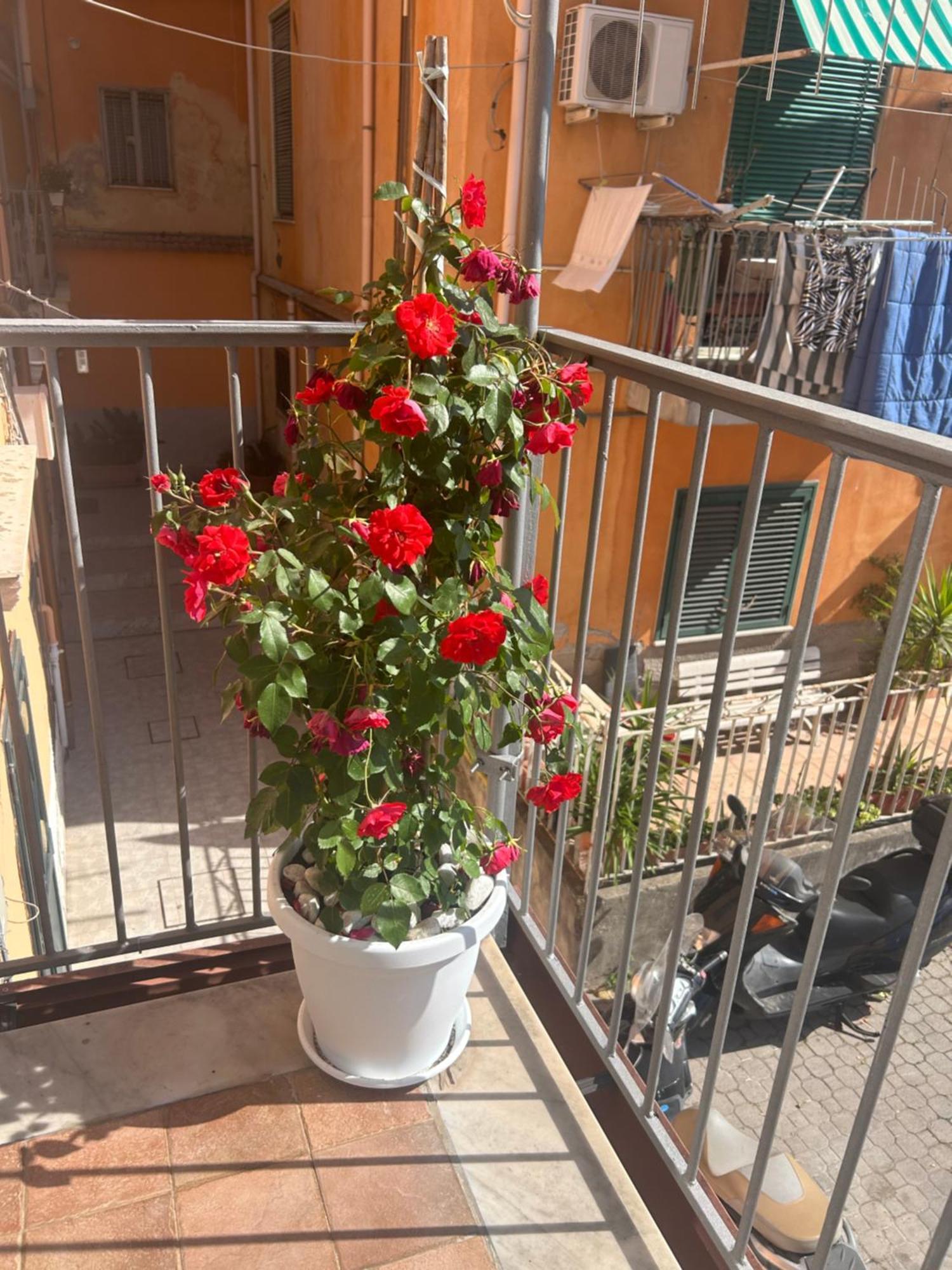 Apartamento Sissi House Salerno Exterior foto