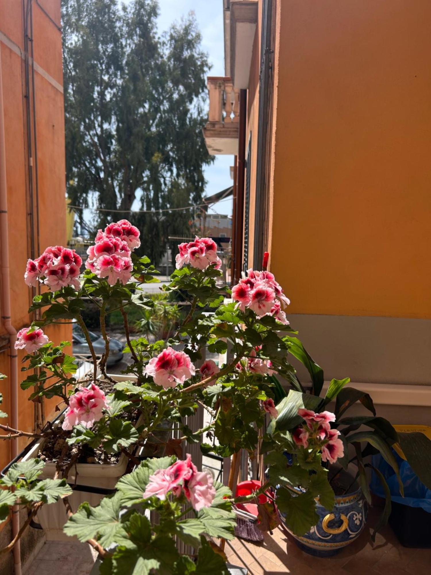 Apartamento Sissi House Salerno Exterior foto